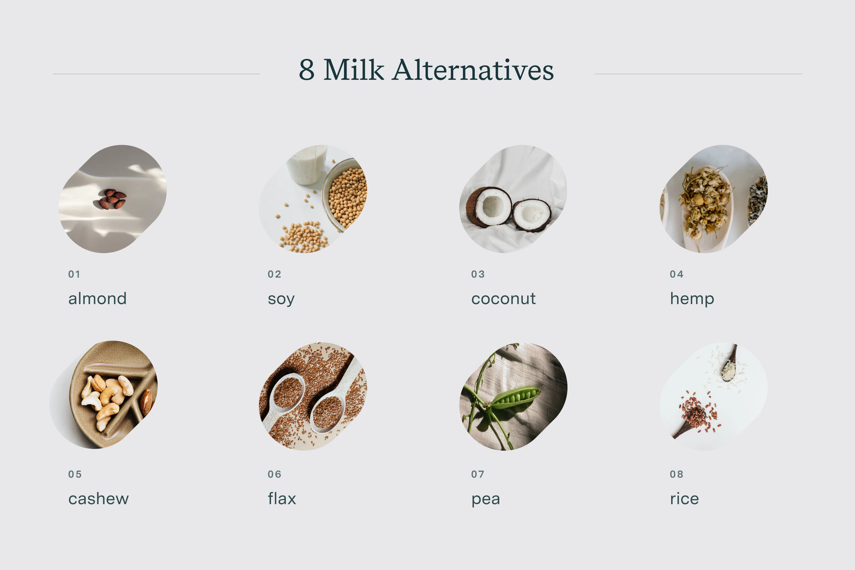 Is Oat Milk Inflammatory? 8 Milk Alternatives (& What To Avoid)